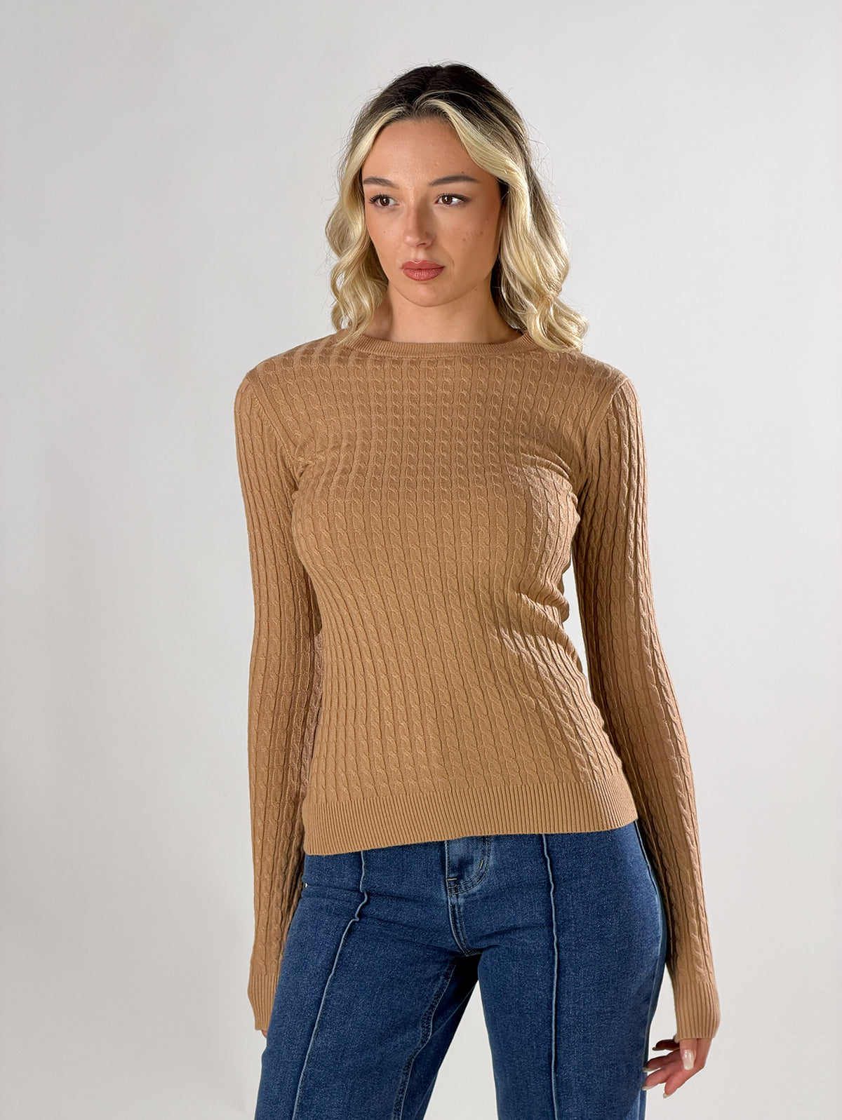 Maglia girocollo con lavorazione a trecce|Colore:Cammello