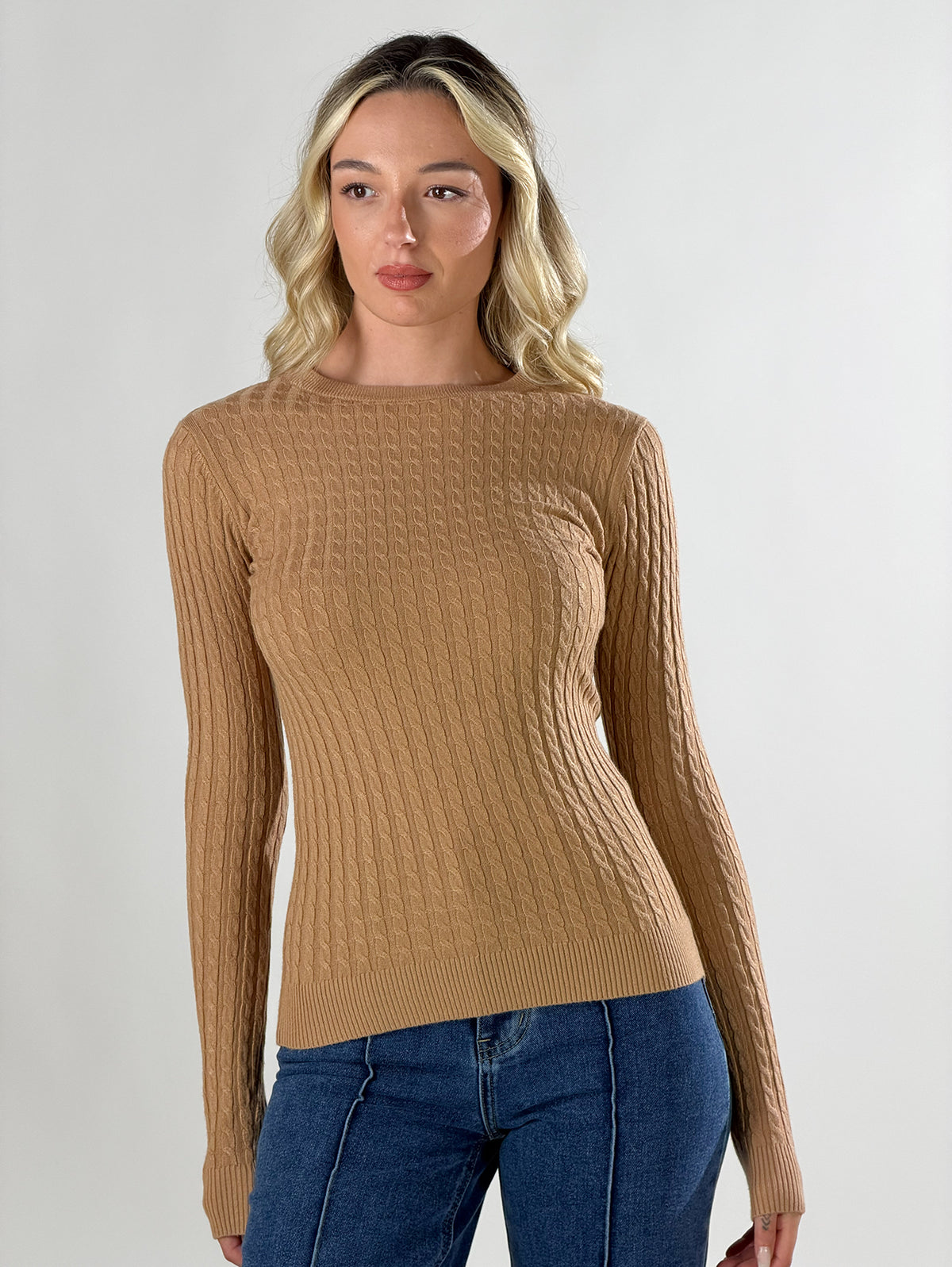 Maglia girocollo con lavorazione a trecce|Colore:Cammello